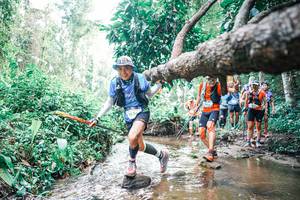 BIB: 
                            <button type="button" onclick="openModal(25372248)" class="btn btn-primary btn-sm float-right btn-popup" data-toggle="modal" data-target=".modal-high-quality">
                        <i class="fas fa-shopping-cart"></i> Add to Cart
                    </button>
                                            <button type="button" onclick="isThisMe(25372248, true)" class="btn btn-success btn-sm float-right btn-popup btn-isme hidden" data-toggle="tooltip" data-placement="bottom" title="นี่คือรูปของคุณใช่ไหม คลิกที่นี่เพื่อเอาเข้าอัลบั้ม">
                        <i class="fas fa-plus"></i> Add to album
                    </button>
                    <button type="button" onclick="isThisMe(25372248, false)" class="btn btn-warning btn-sm float-right btn-popup btn-isnotme hidden">
                        <i class="fas fa-ban"></i> Remove from album
                    </button>